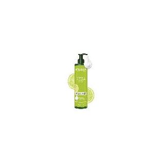 LECHE CORPORAL HIDRATANTE CITRUS 250 Ml.